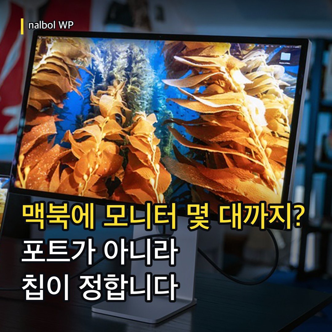 카드뉴스