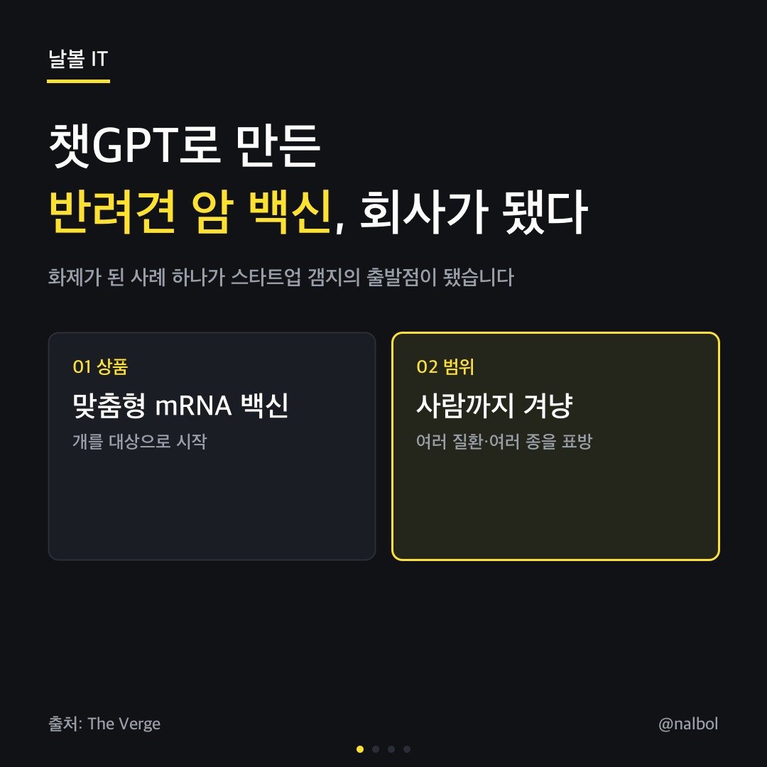 카드뉴스