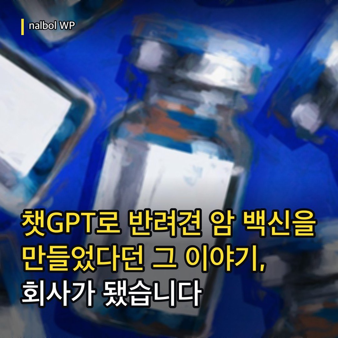 카드뉴스