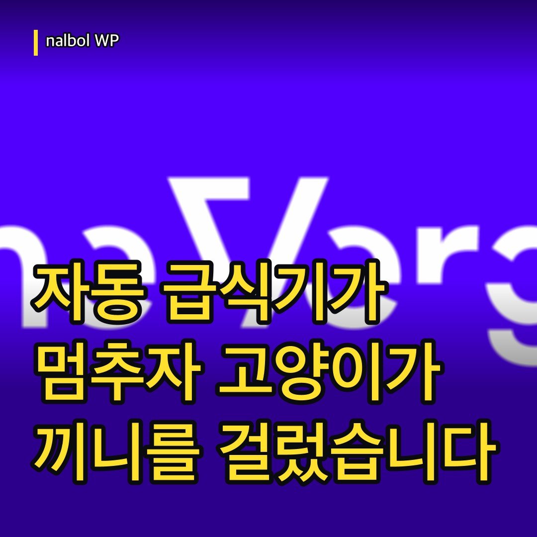 카드뉴스