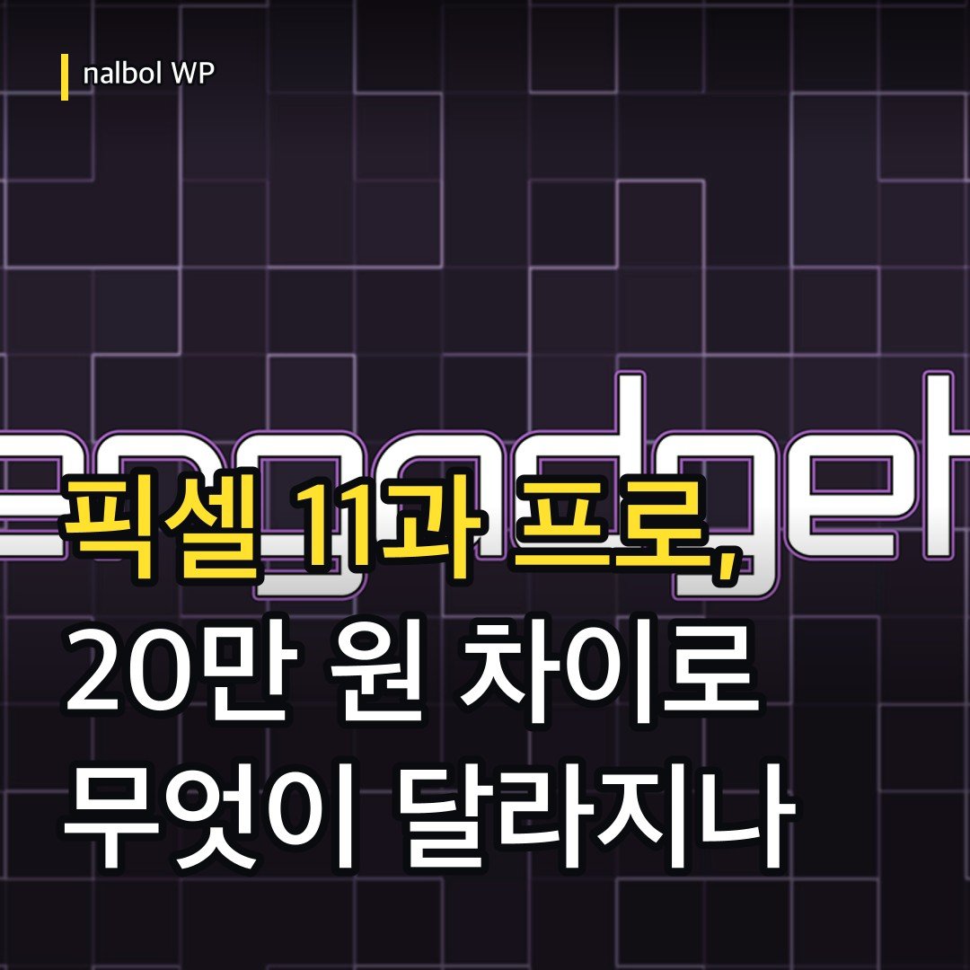 카드뉴스