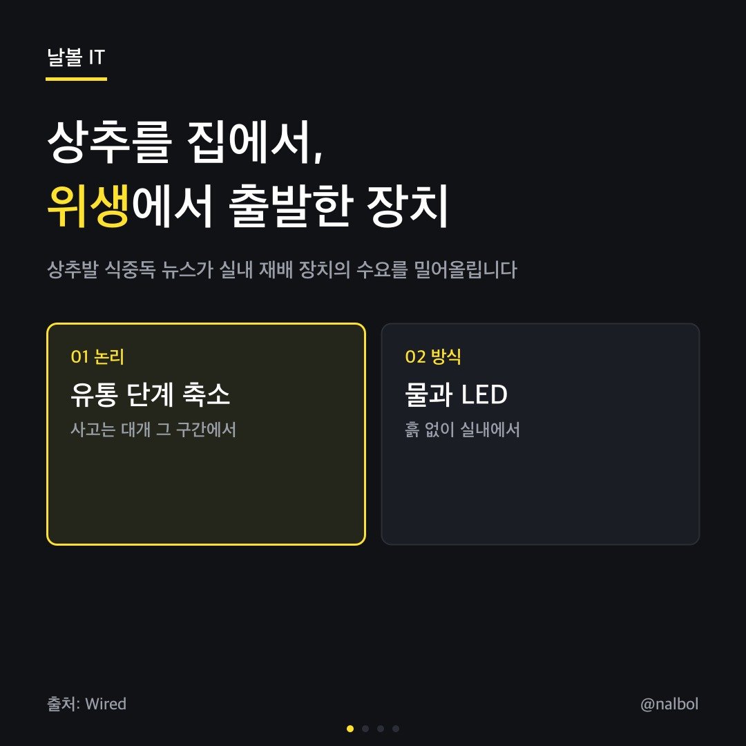 카드뉴스