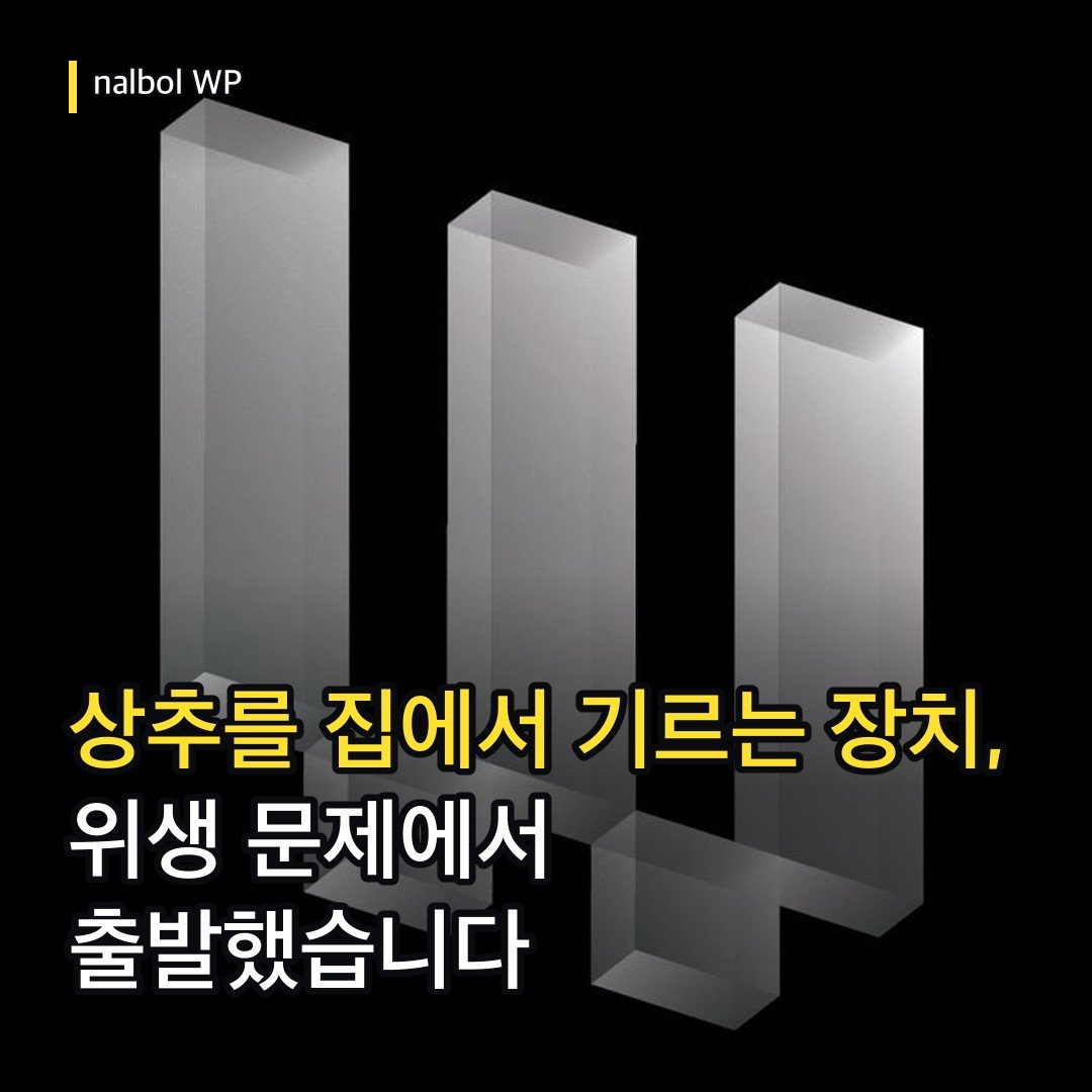 카드뉴스
