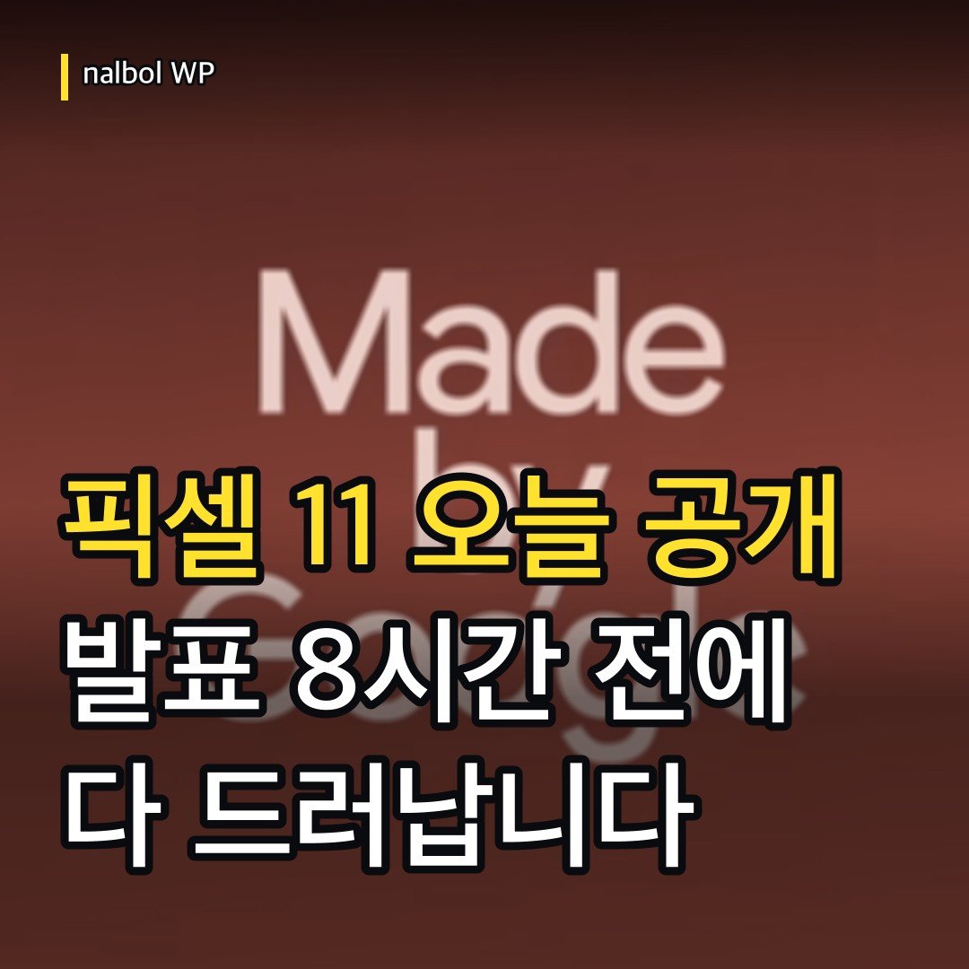 카드뉴스