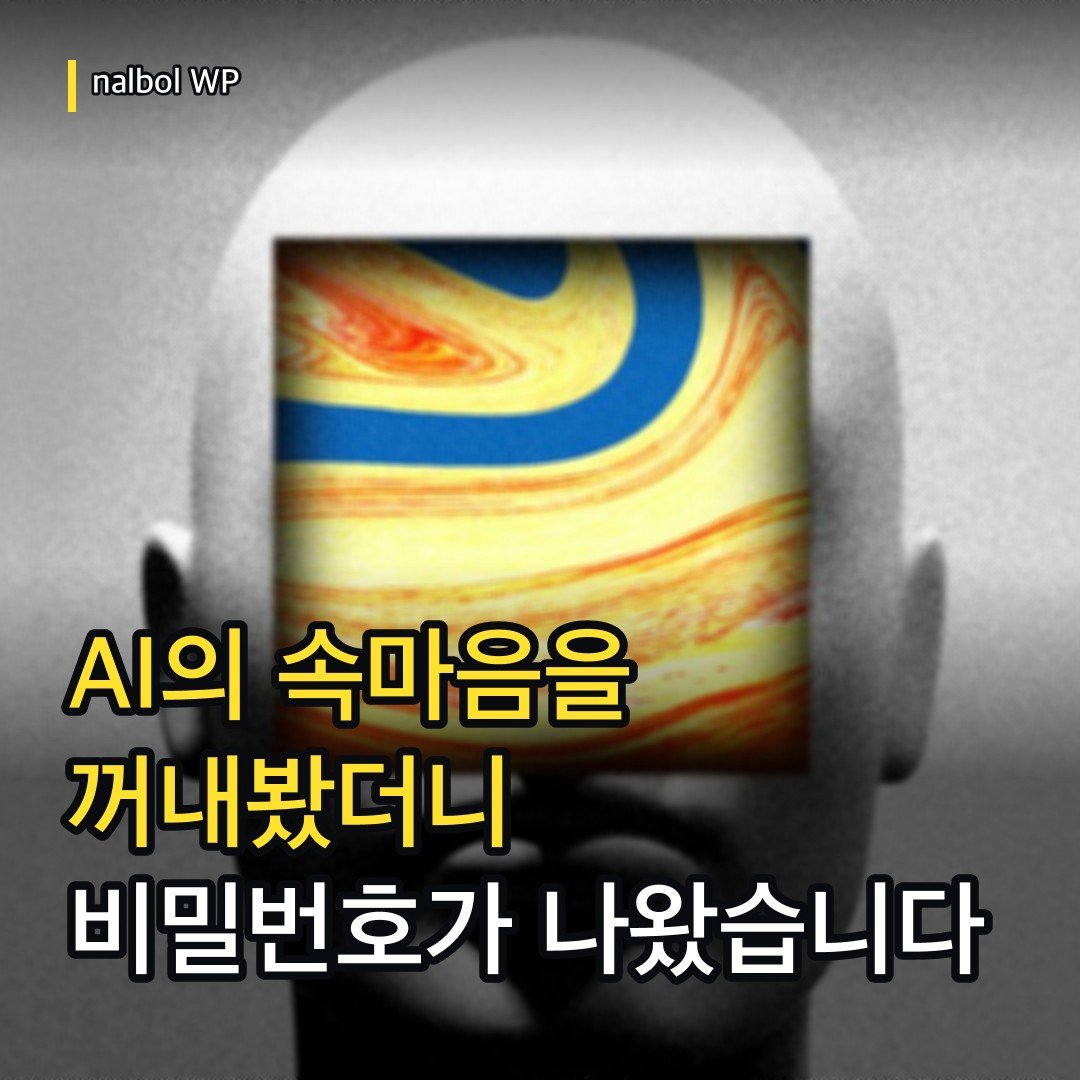 카드뉴스