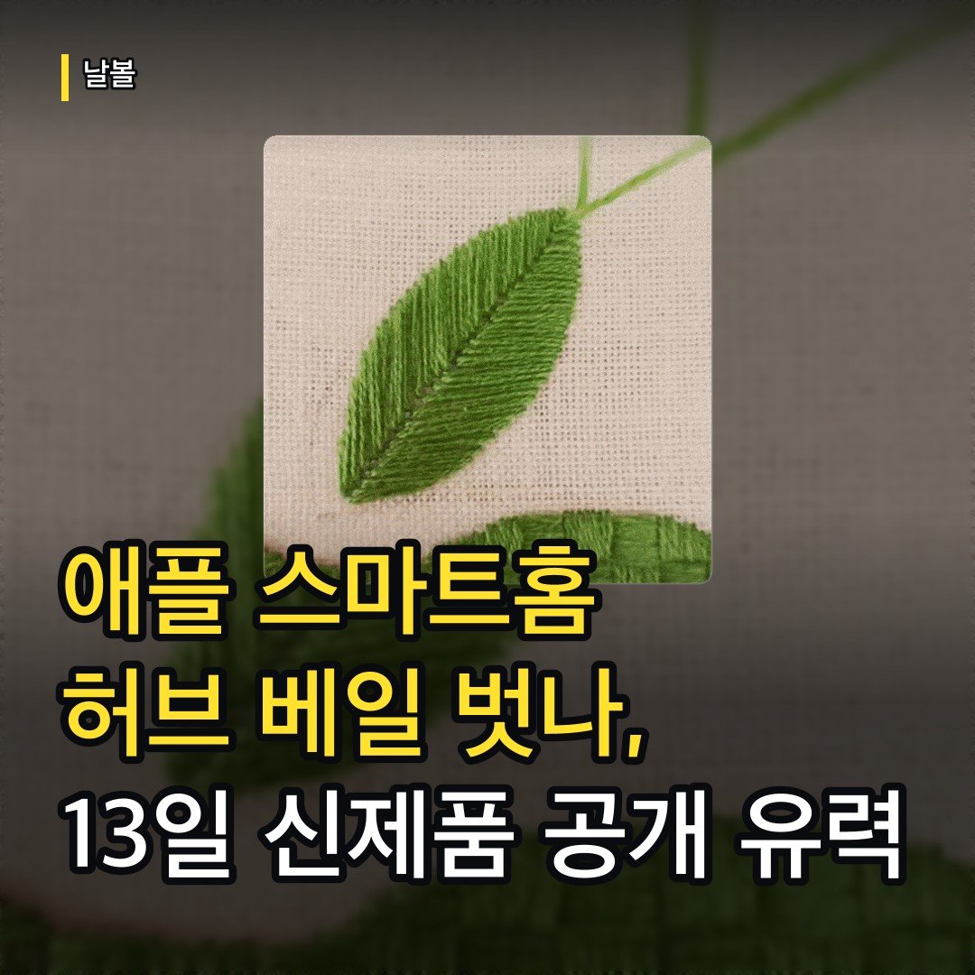 카드뉴스