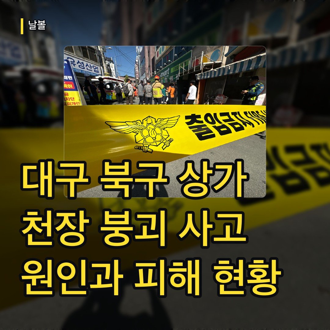 카드뉴스