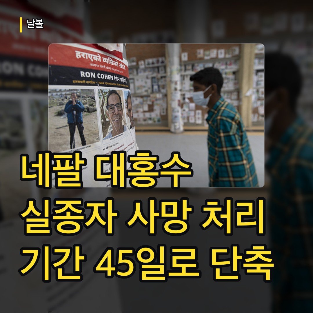 카드뉴스