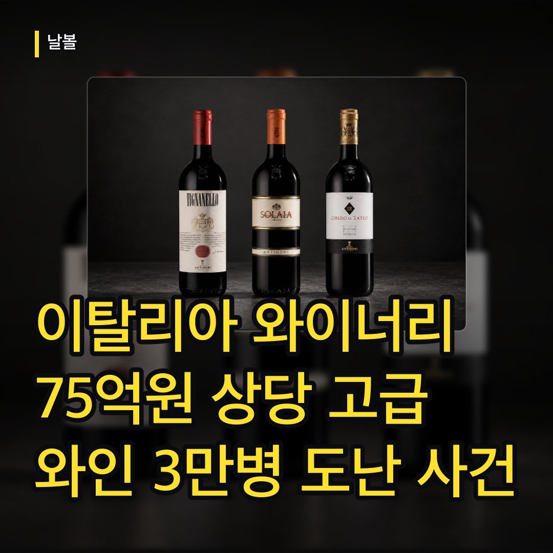카드뉴스