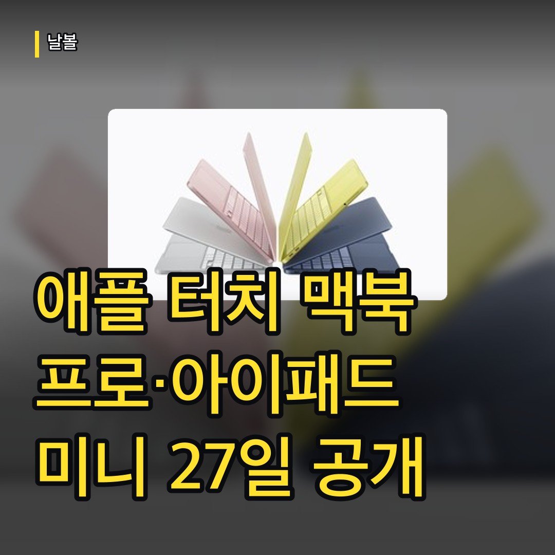 카드뉴스