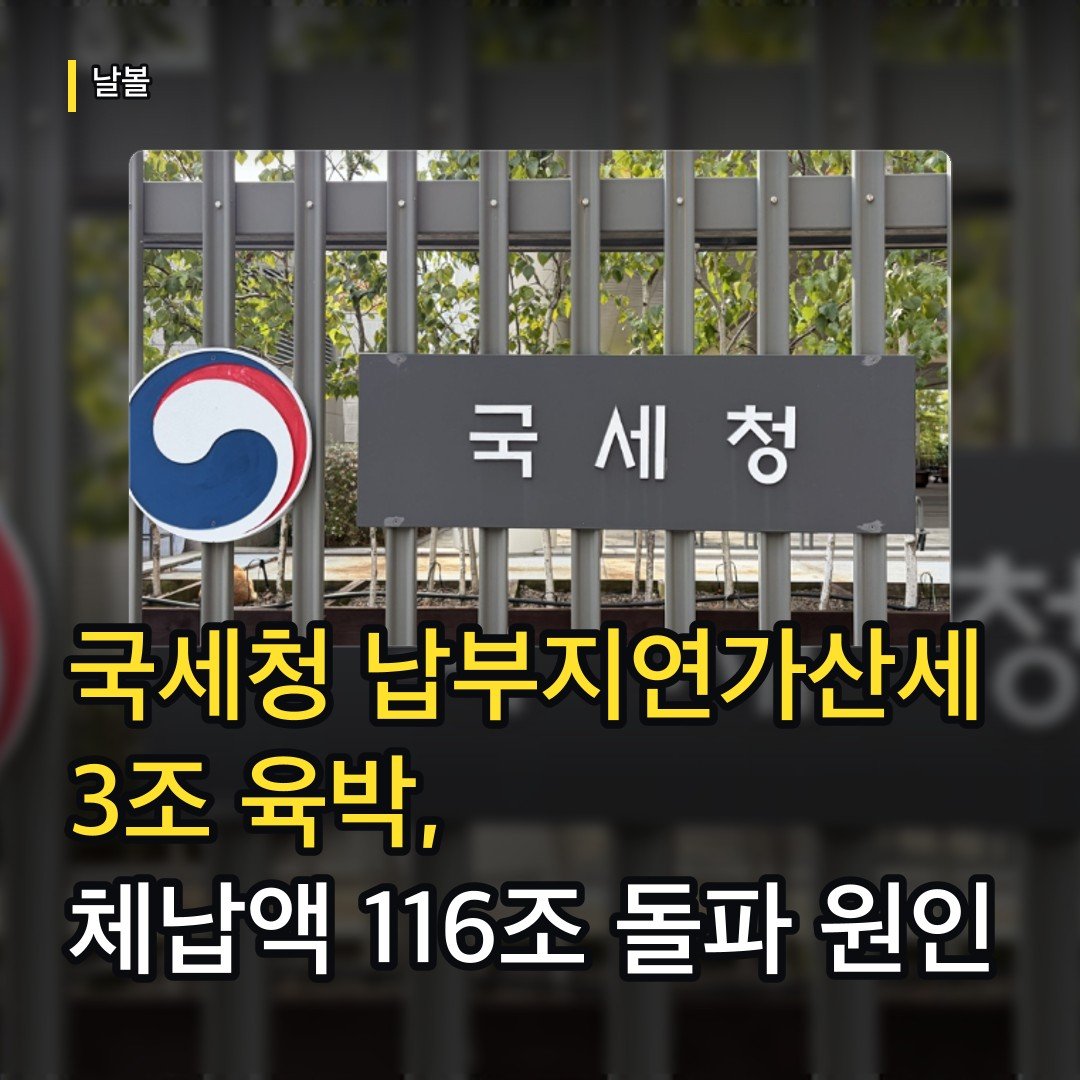 카드뉴스