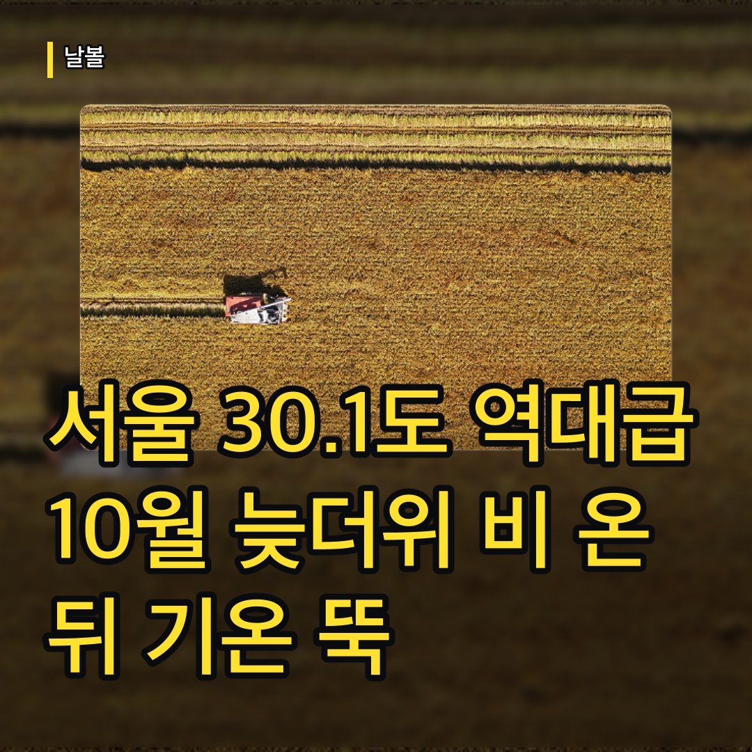 카드뉴스
