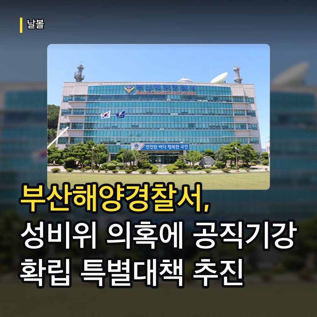 카드뉴스