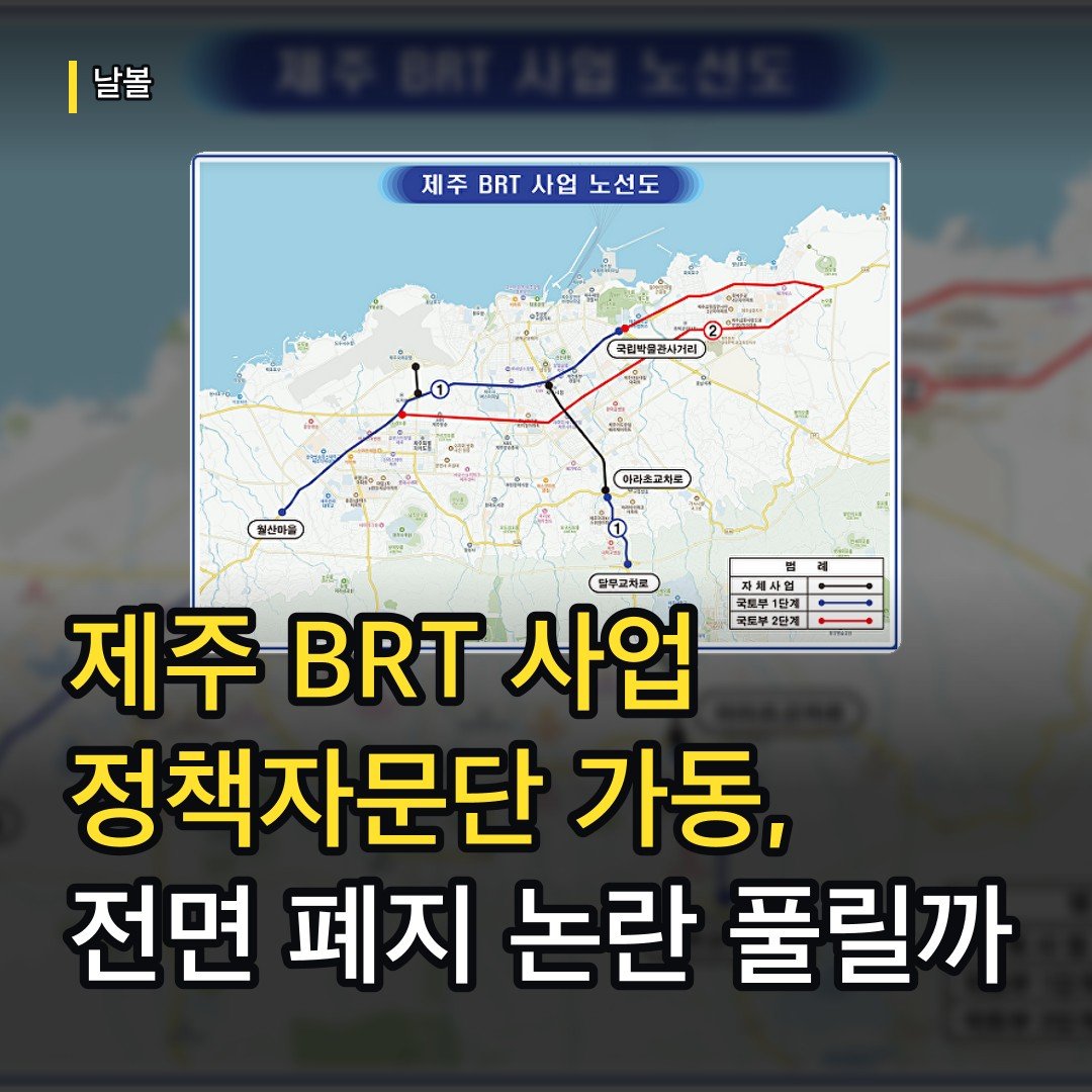 카드뉴스
