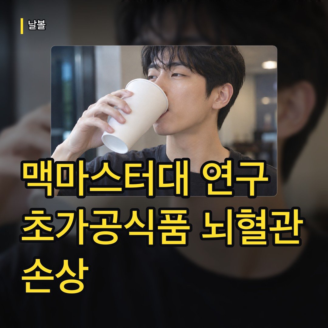 카드뉴스
