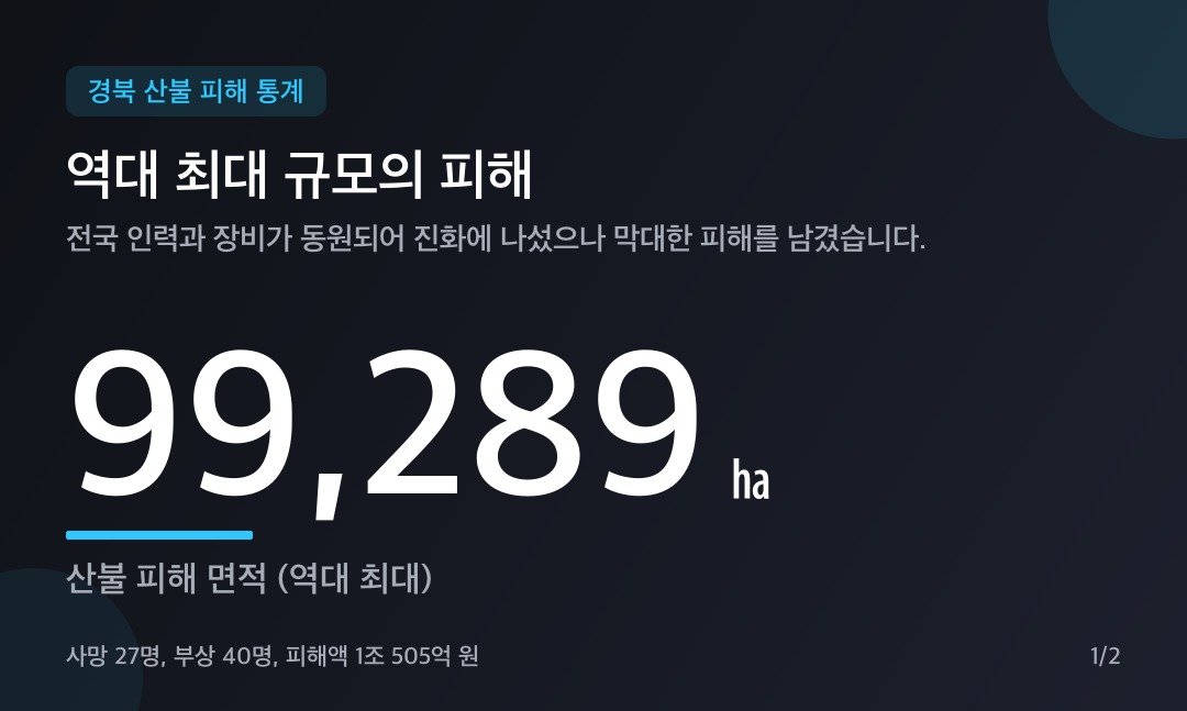 카드뉴스