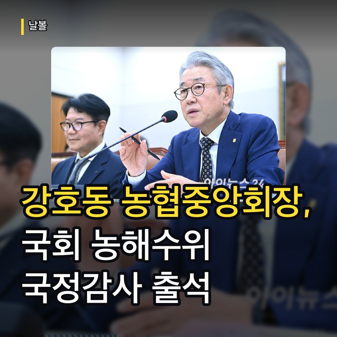 카드뉴스