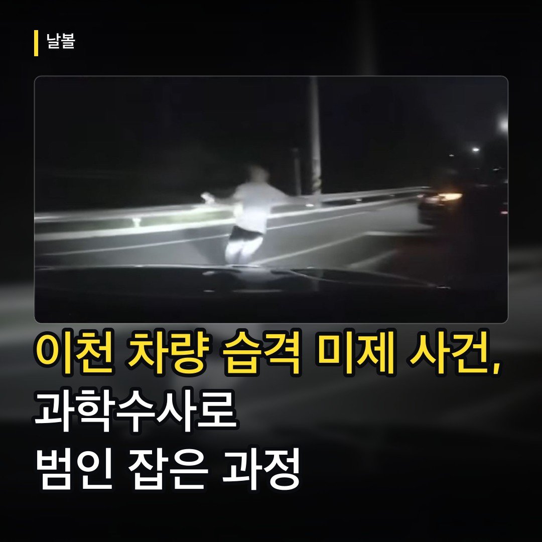 카드뉴스