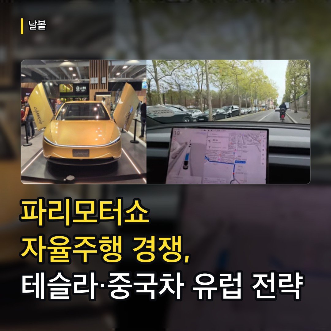 카드뉴스