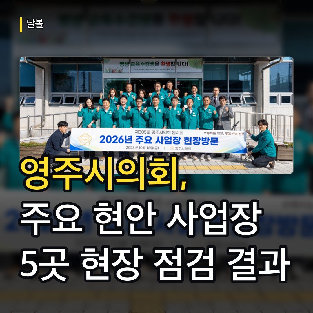 카드뉴스